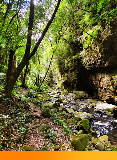 bobina de madeira